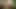 another out in the woods cum