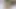 Arap altı video Şimdi