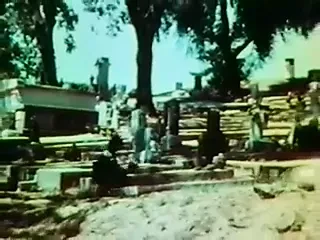 太容易了