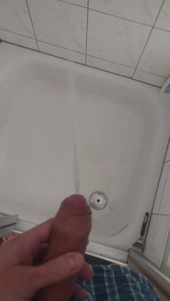 Kencing di kamar mandi