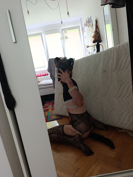 Cute kitty got it's first anal tail (wagging)
