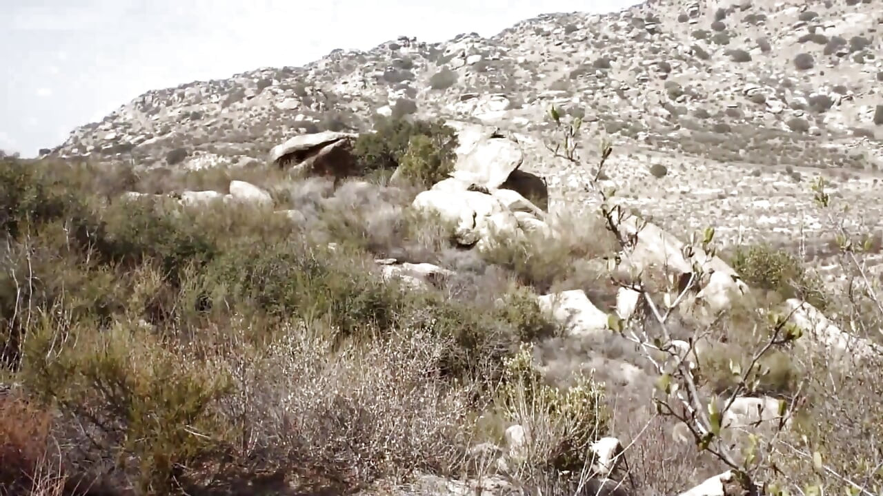 Amiee Black और जोरदार आउटडोर सेक्स