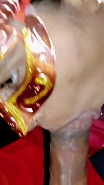 Dirty Blowjob completion and cum in mouth and cum on face with dirty cumshot | Clip 1