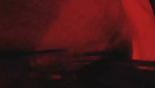 Ela e a Corgete Gigante