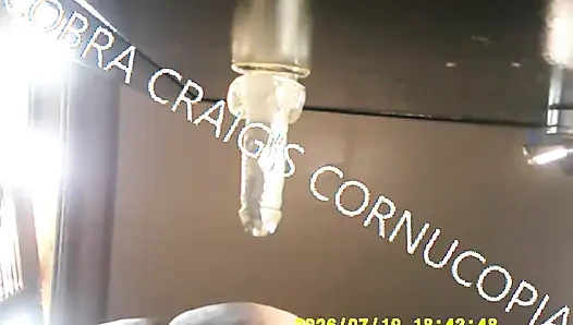 7-19-2026 UPSHOT KOLAY COBRA.MP4