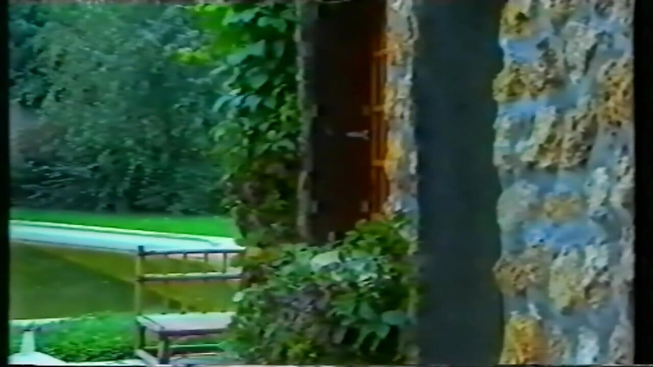 European Vintage Pornstar Orgy Action