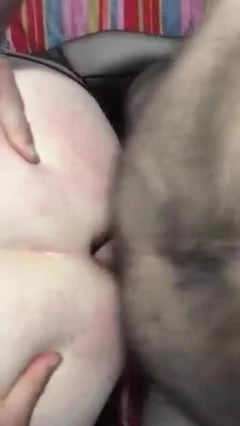 김 따먹기