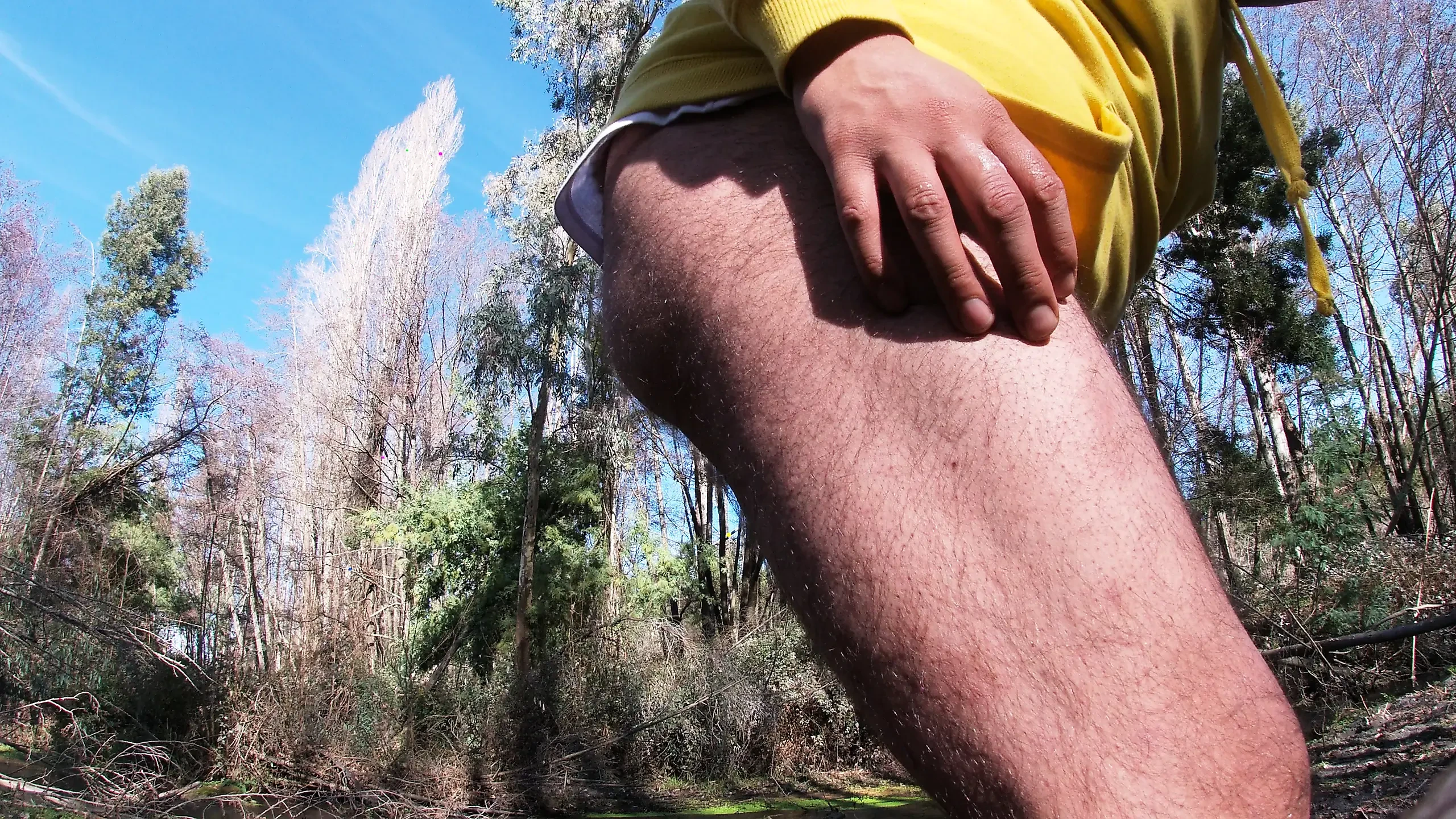 Jock peluda acaricia más duro en el bosque y habla más sucio que nunca - instrucciones de paja verbal parte 2