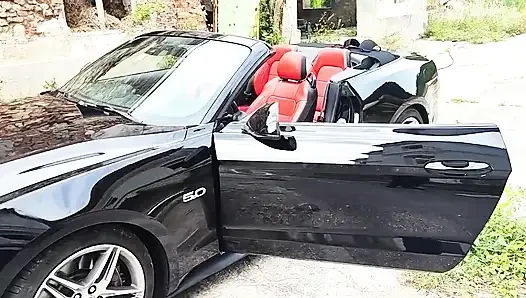 Swinger King and His Bumskarre, What I Did with It.