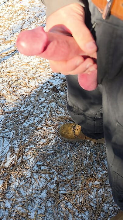 في الهواء الطلق صلب الفطر يميل الديك