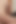 バズのあるブラシを持つ