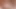 Horny Girl Four Cocks Sucking