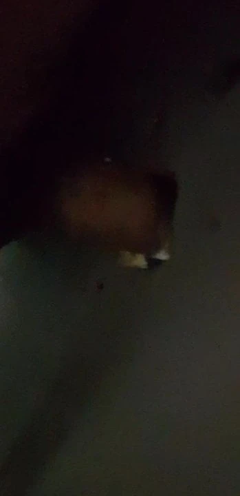 Having fun at the Glory hole