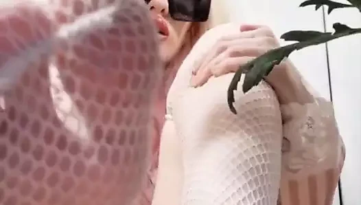 Sonuçlarına acı çektirme itaati