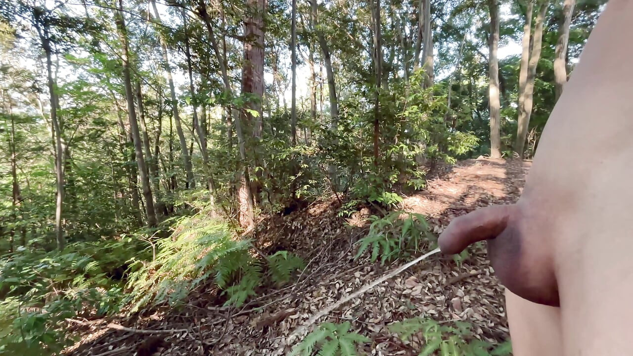 Vorhautjunge, im wald blankziehen und pinkeln