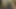 Birkaç edepsiz travesti anal seksi seviyor