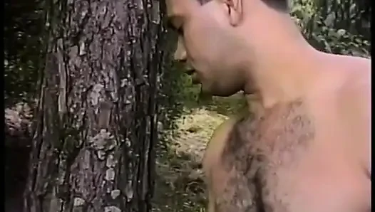 Hot bisexual action with two sluts and two studs fucking each other outdoors