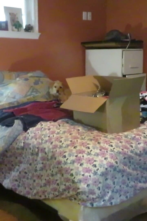 Trying on new dresses that came in mail to make videos with for you! Part 1