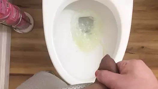 PlSS