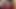 あの油まみれのホットな女、赤い魚網タイツを履いた女なんてクソくらえ