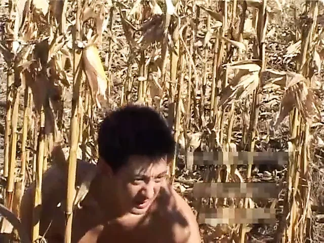 中国Imeili - Wu Yingfeng