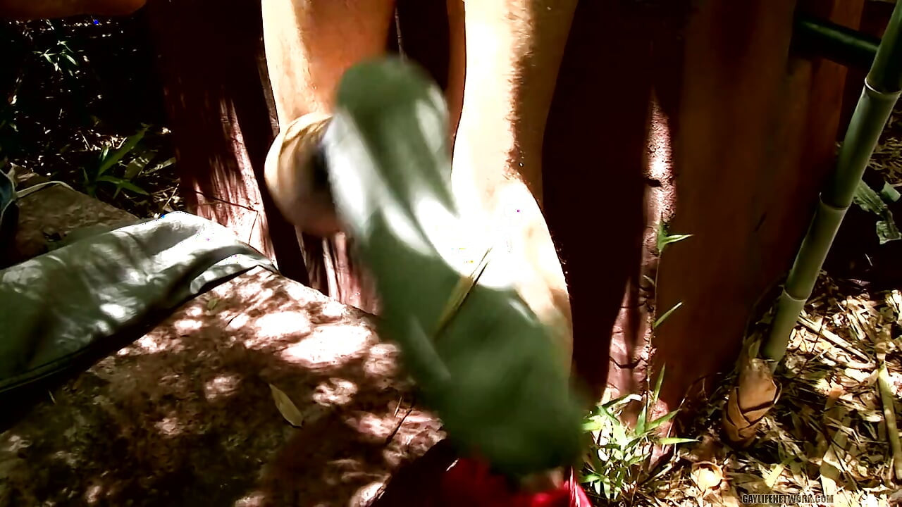 Horny Fucking in the Forest