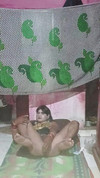Pregled videozapisa