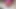 Hot Asian Goddess Ass Smothering in Pink Panties