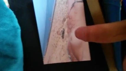 Labi