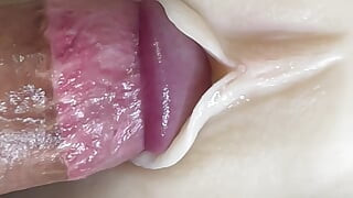Nice close-up fuck