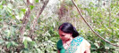 Pratinjau video