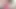 Molly Cute'nin ab roller egzersizi erkek arkadaşıyla vahşi esneme sikişine dönüşüyor - teenmegaworld