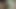 black dick got college pussy fucking off chatline