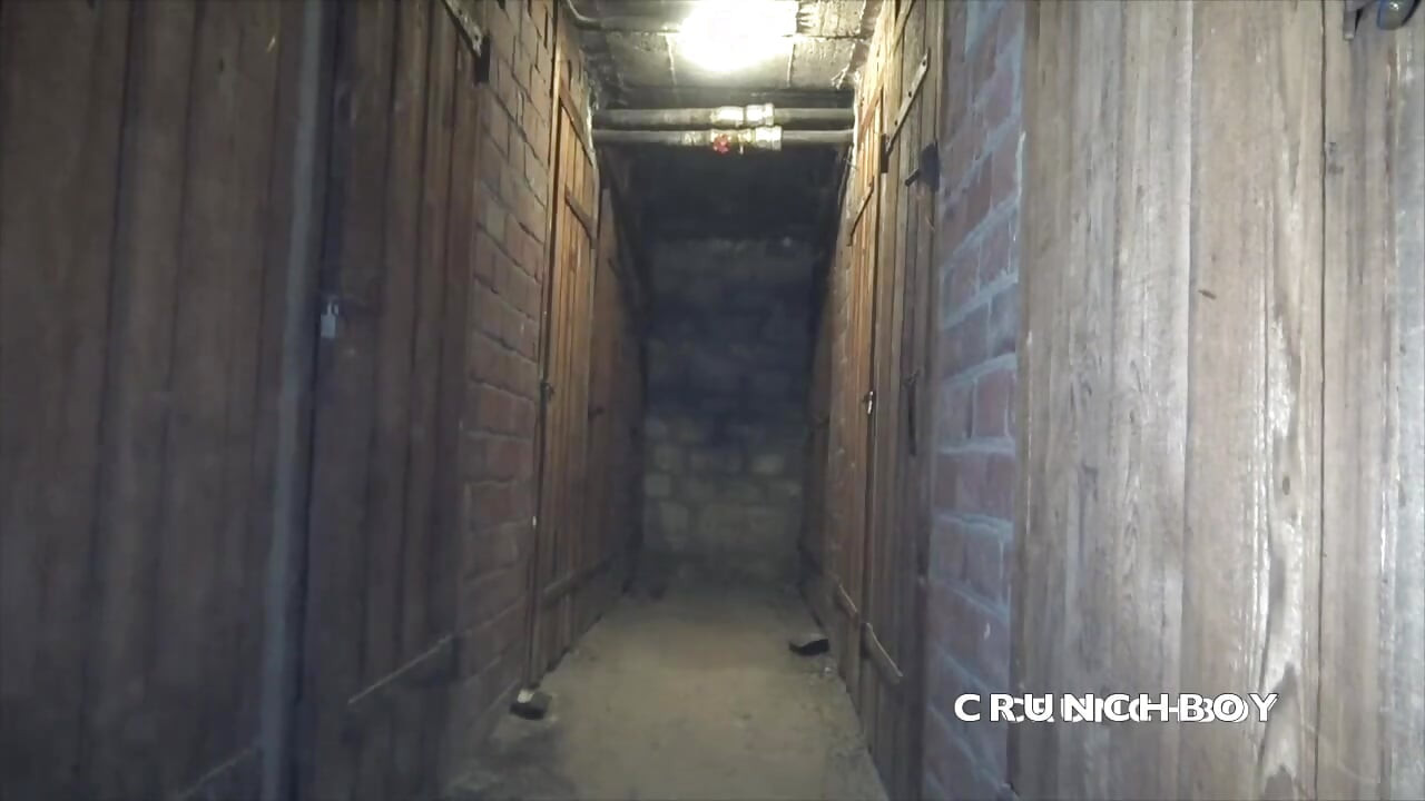 ジェス・ロヤンは、地下室でストレートな黒人に生でセックスされた