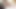 アジアンエンジェル 18049