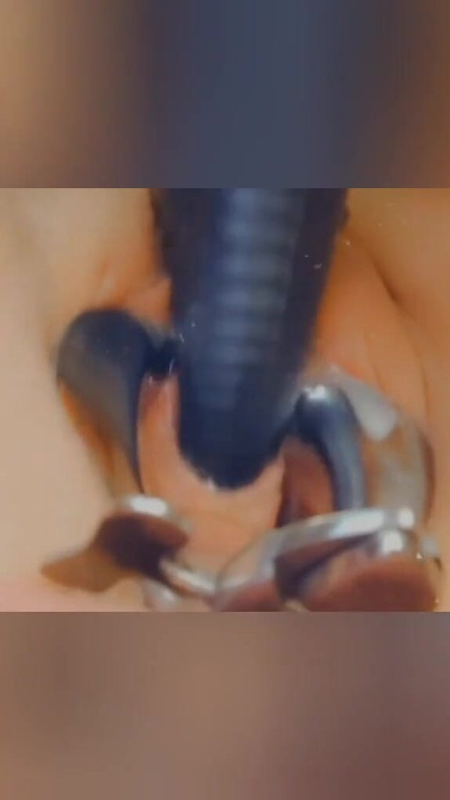 German sub SklavinS a new Peehole Slave Training! Until her Master can fuck her urethral!! | Clip 2