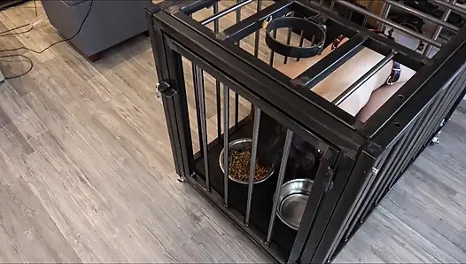 247 Kurma menjaga budak seks dalam kehidupan sehari-hari