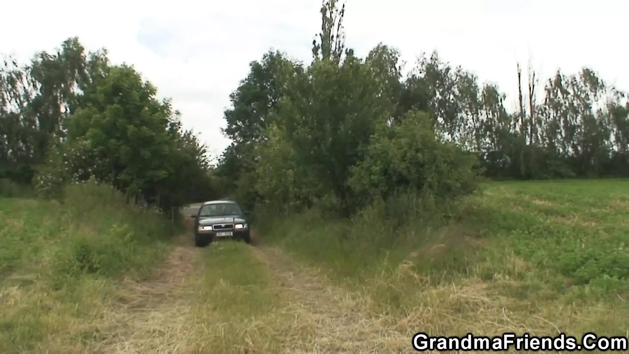 Two buddy share old mature woman outdoors
