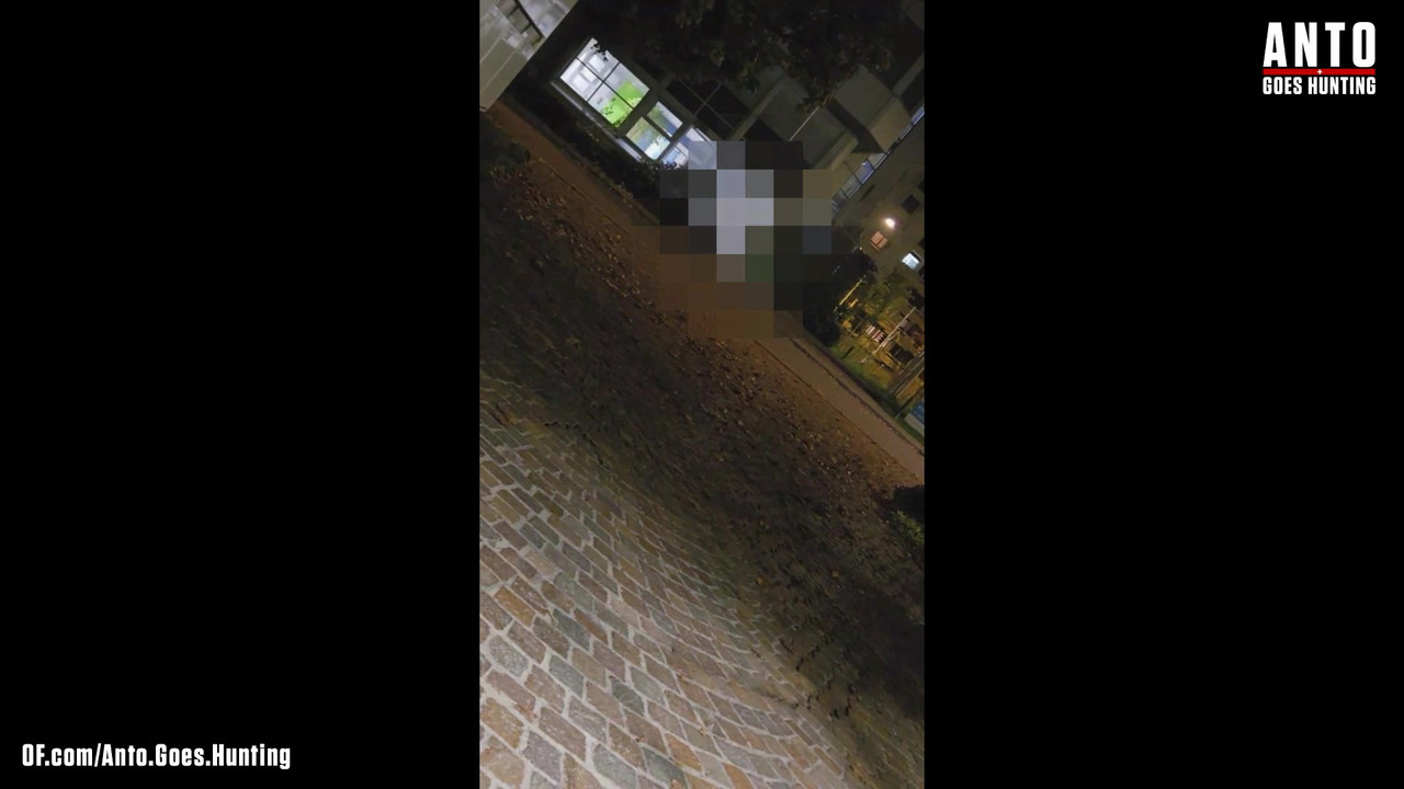 另一个保安走近并说服