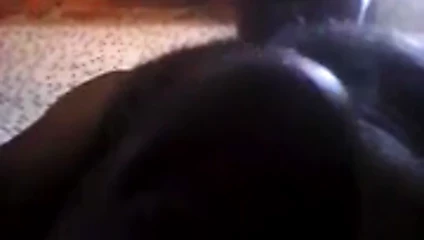 punhenta