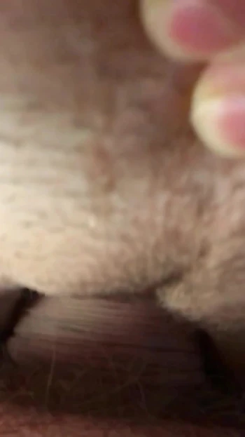 Must-share moment from "Please! I need you! My clit is itching so bad... Scratch my clit with the cock head. Creampie."