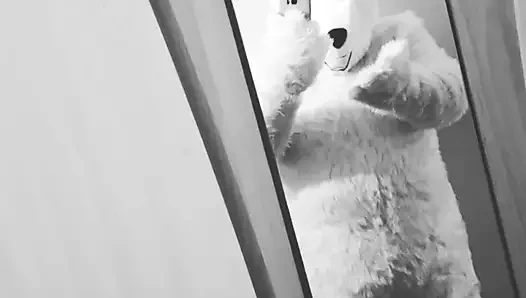 Fiona