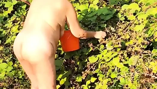 Blackberries'i seçme zamanı