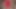 Solo Dick Creampie in Fetish Sexy Satin Thong - Homemade Masturbation in Woman Underwear Lingerie