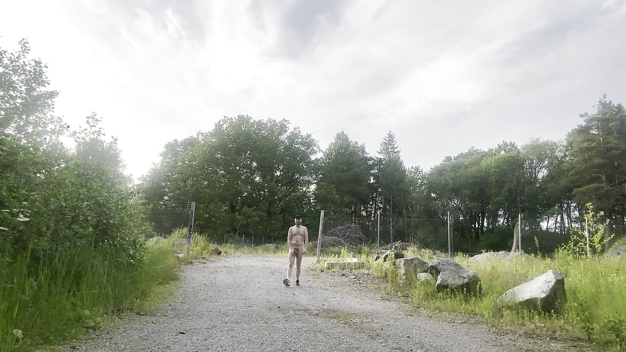 Gola u šumi