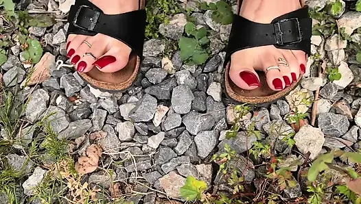 Spielen Mit Birkenstock