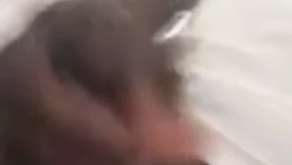 siyah horoz okşayarak