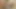 Swingersex ganz Wien