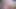 bizim seçim fullhd cumshots