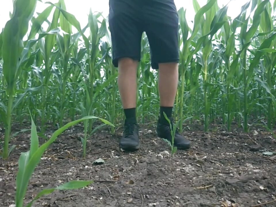 Kerel pist veel in de buurt van het veld in de natuur